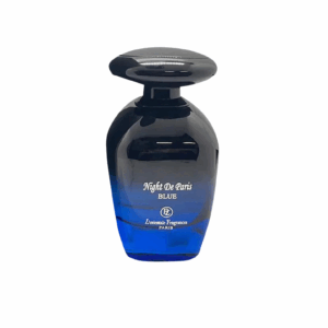 نايت باريس بلو 100ML